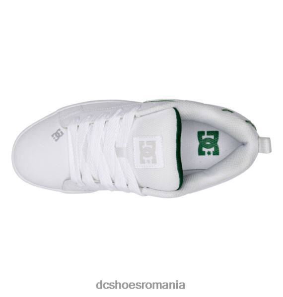 DC Shoes pantofi graffik de curte pentru bărbați X0FD0279 alb/verde