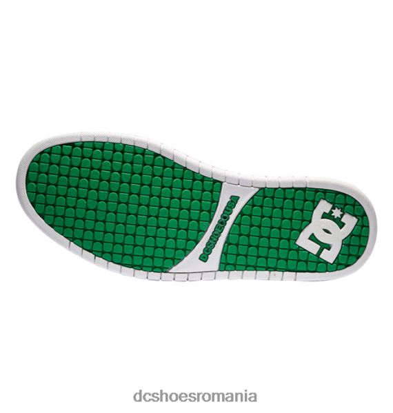 DC Shoes pantofi graffik de curte pentru bărbați X0FD0279 alb/verde