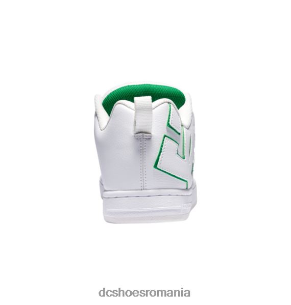 DC Shoes pantofi graffik de curte pentru bărbați X0FD0279 alb/verde