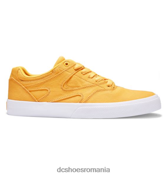 DC Shoes kalis vulc - pantofi pentru bărbați X0FD0370 aur