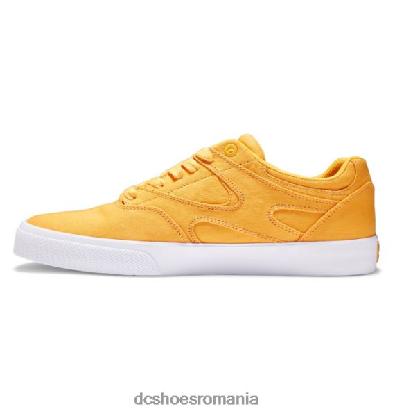 DC Shoes kalis vulc - pantofi pentru bărbați X0FD0370 aur