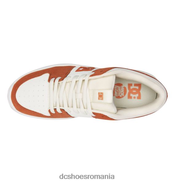 DC Shoes pantofi lynx zero pentru bărbați X0FD046 maro/cabaniu