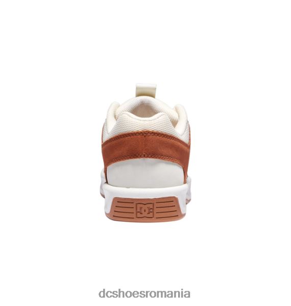 DC Shoes pantofi lynx zero pentru bărbați X0FD046 maro/cabaniu