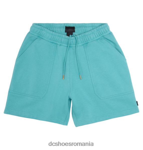 DC Shoes pantaloni scurți de transpirație dc 1994 pentru bărbați X0FD08 vopsea de îmbrăcăminte Meadowbrook