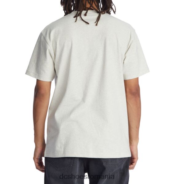 DC Shoes tricou cafe x dc barbati X0FD032 erica frasin