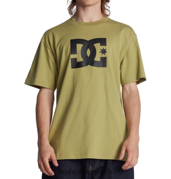 DC Shoes tricou dc star pentru bărbați X0FD073 salvie