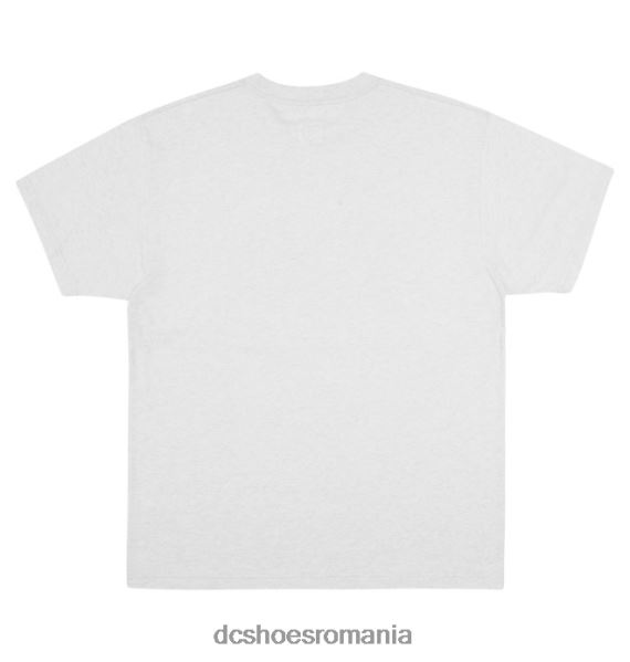 DC Shoes tricou pentru bărbați X0FD0119 zăpadă heather