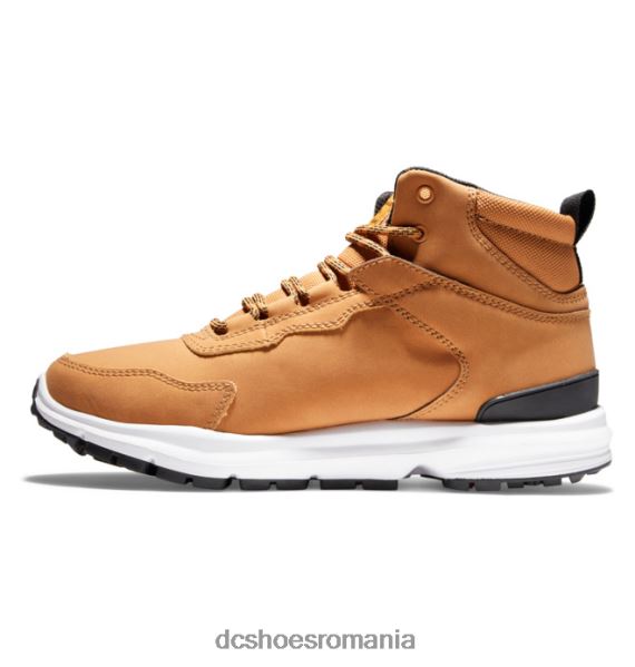 DC Shoes cizme de iarnă mutiny rezistente la apă pentru bărbați X0FD0334 grâu/negru