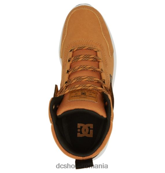 DC Shoes cizme de iarnă mutiny rezistente la apă pentru bărbați X0FD0334 grâu/negru
