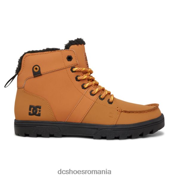 DC Shoes cizme de iarnă pădure pentru bărbați X0FD0205 grâu