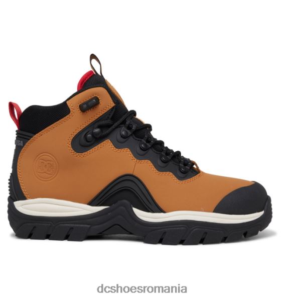 DC Shoes cizme de iarna din dantela navigator barbati X0FD0165 grâu/negru