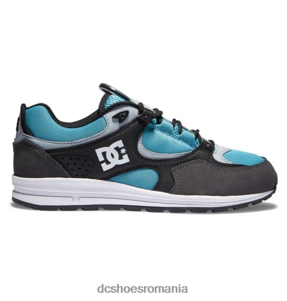 DC Shoes pantofi de skateboard kalis lite pentru bărbați X0FD0175 negru/gri/albastru