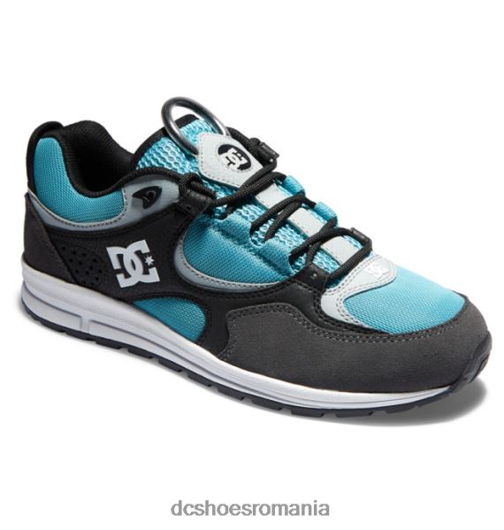 DC Shoes pantofi de skateboard kalis lite pentru bărbați X0FD0175 negru/gri/albastru