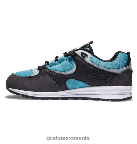 DC Shoes pantofi de skateboard kalis lite pentru bărbați X0FD0175 negru/gri/albastru