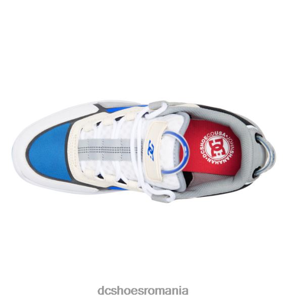 DC Shoes pantofi shanahan metrici pentru bărbați X0FD016 gri/alb/albastru
