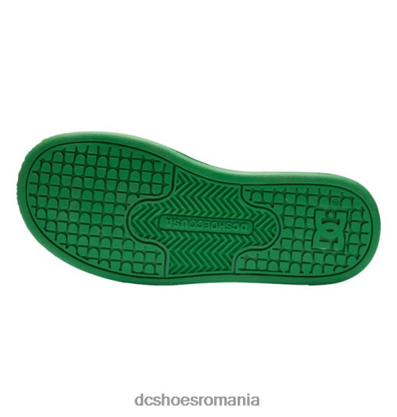 DC Shoes pantofi copii manteca 4 din dantela elastica X0FD0508 gri/albastru